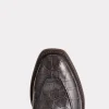 The Original Exotic :: Anthracite Grey