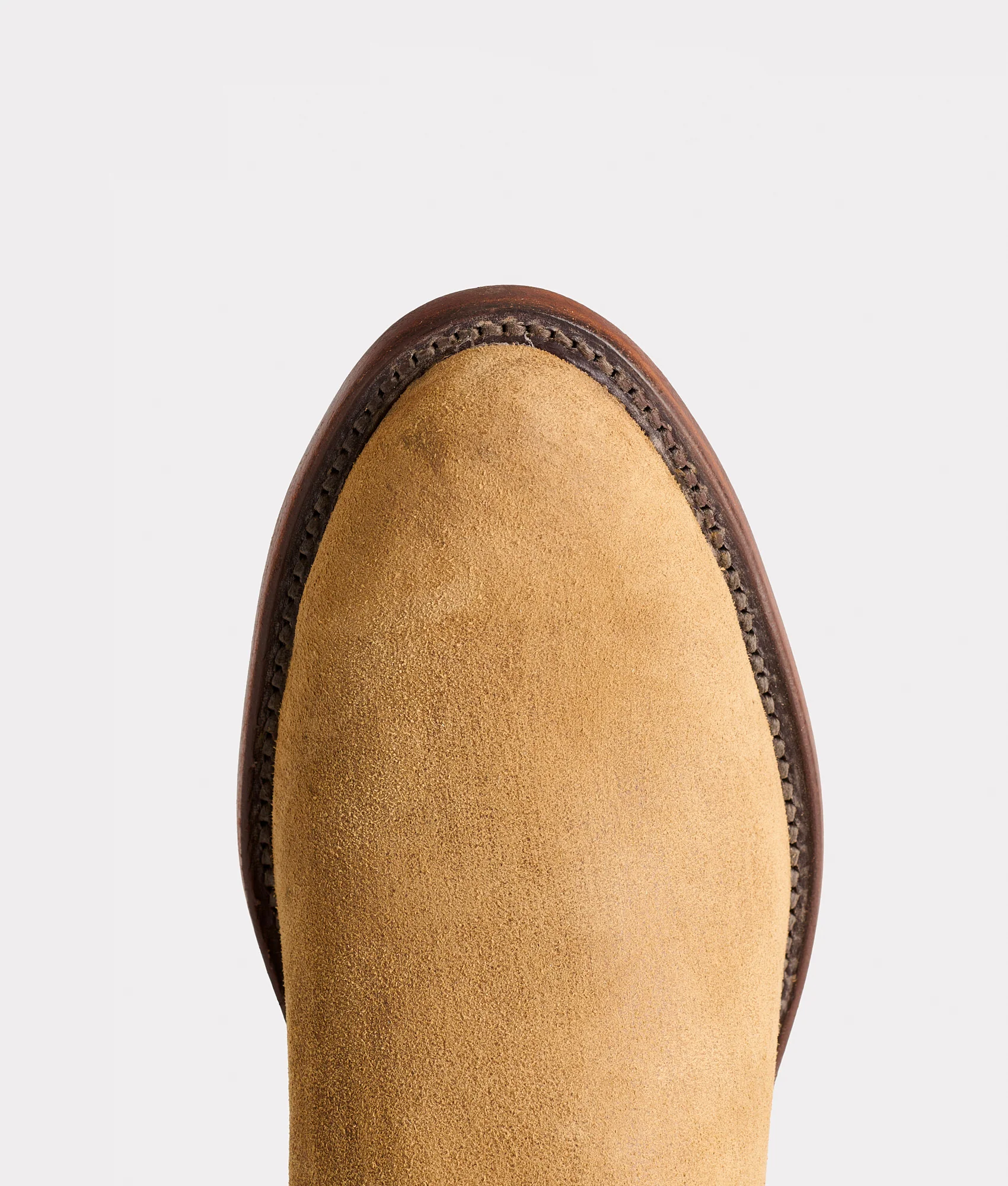 Sunset Suede :: Tan
