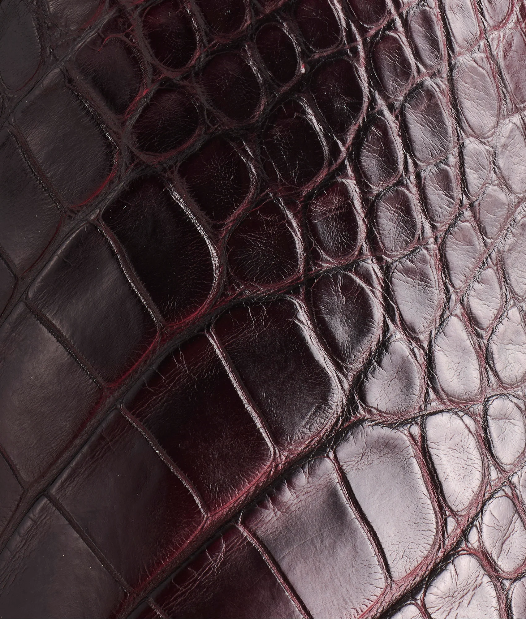 Baron :: Black Cherry