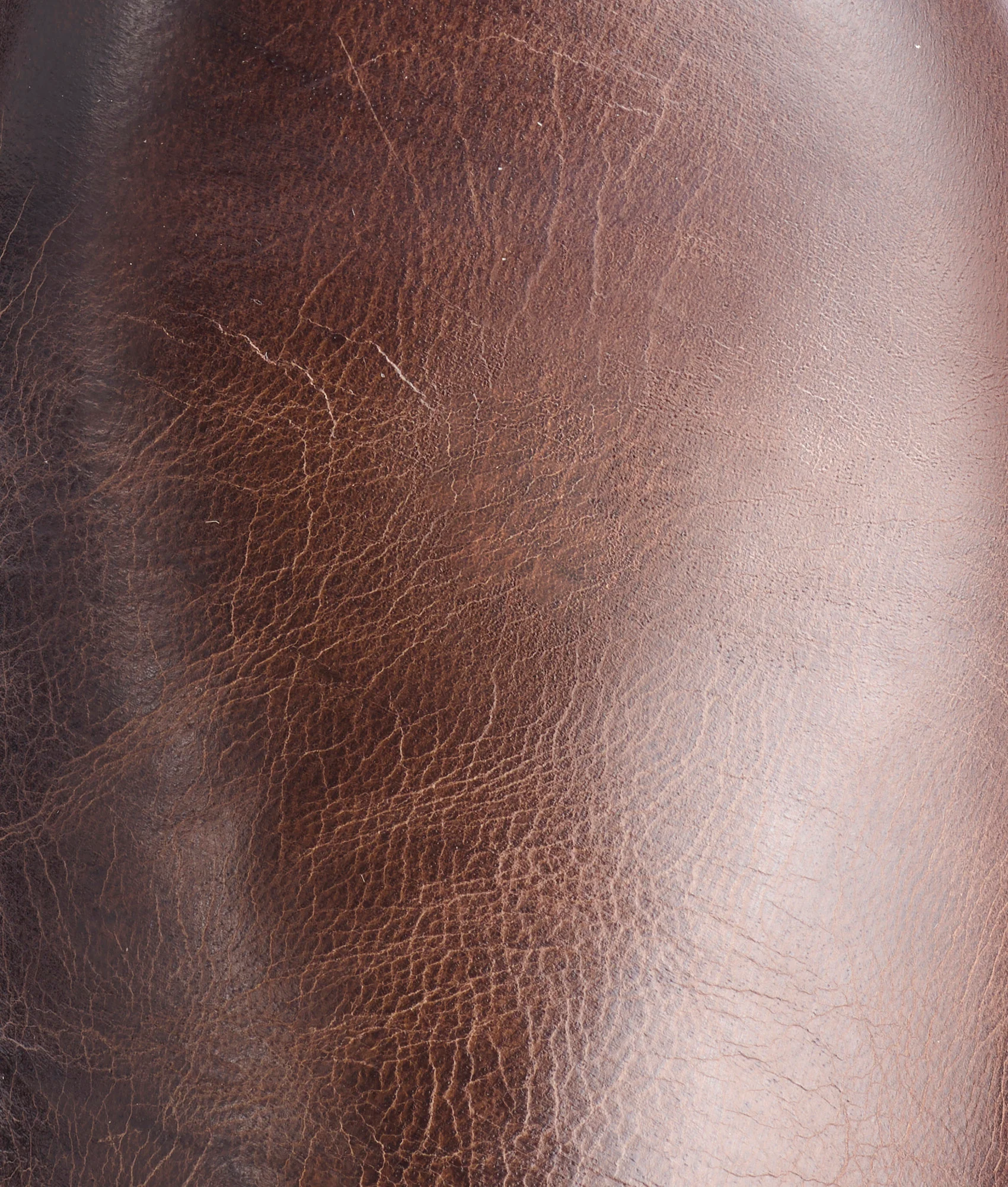 Sunset Roper :: Chocolate