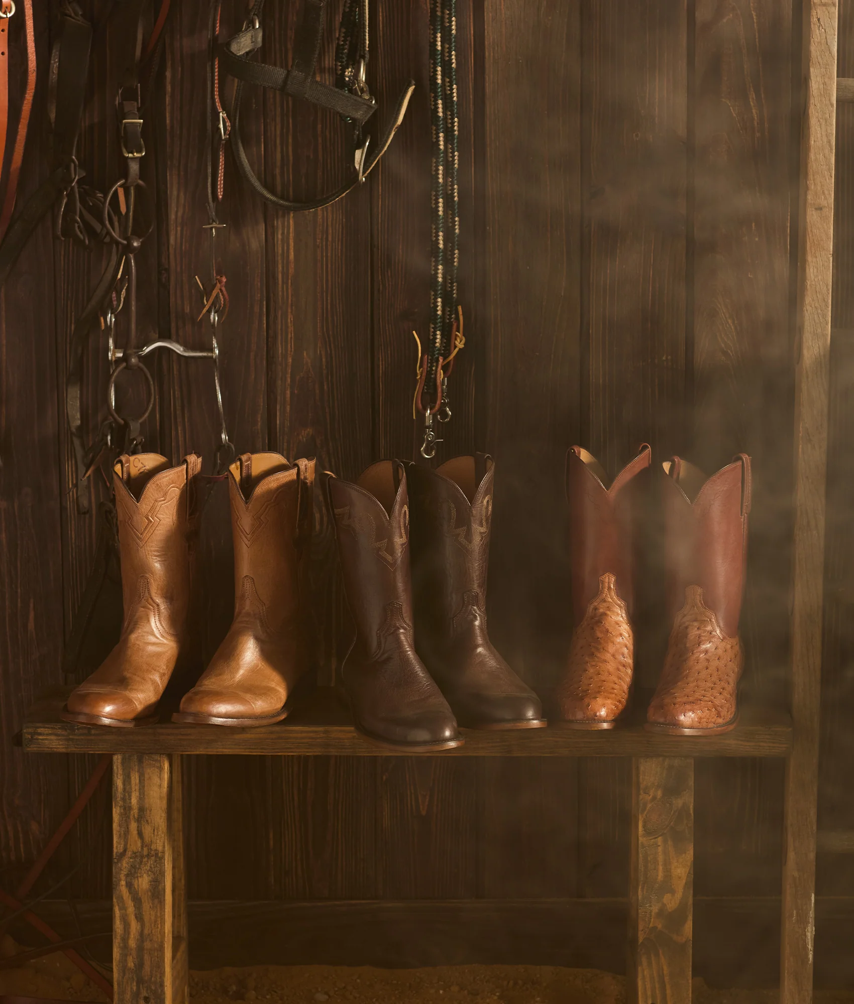 Sunset Roper :: Chocolate