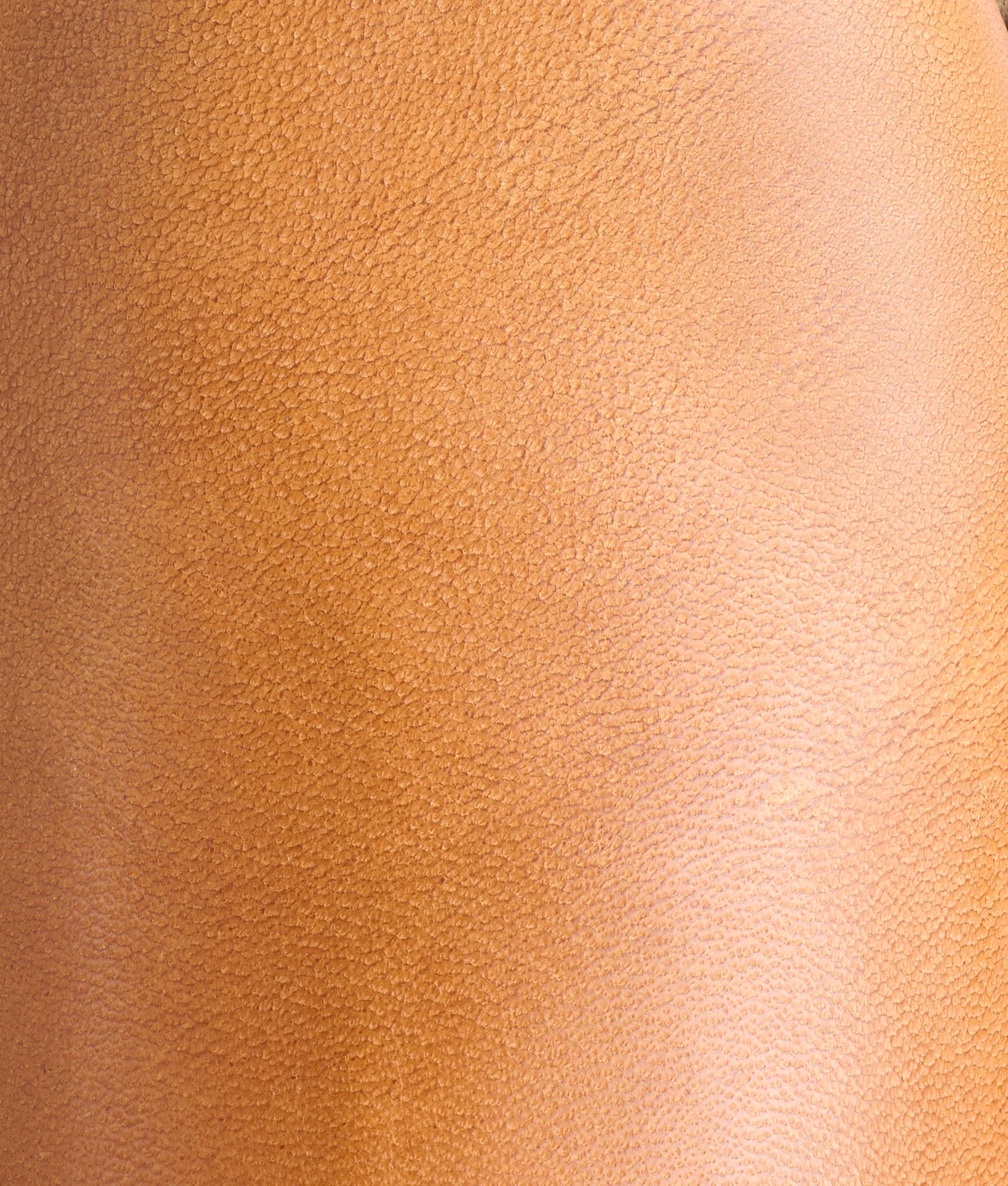 Sunset Roper :: Honey
