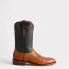 Sunset Exotic :: Cognac