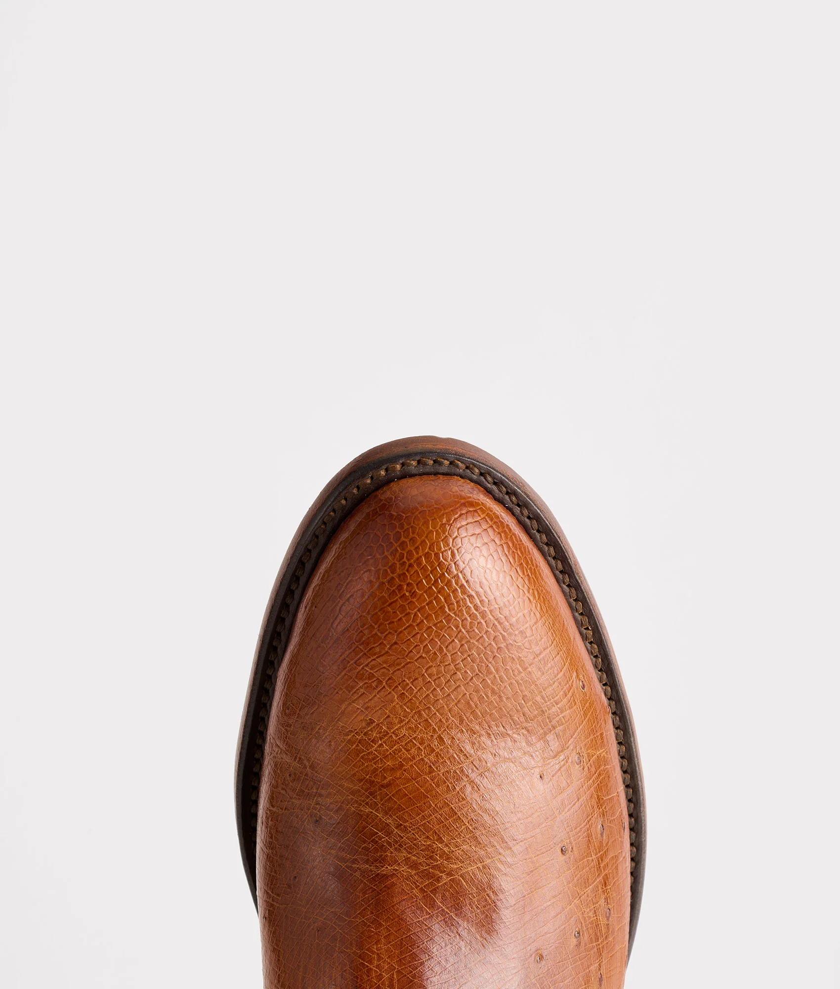 Sunset Exotic :: Cognac