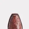 Elgin :: Chocolate