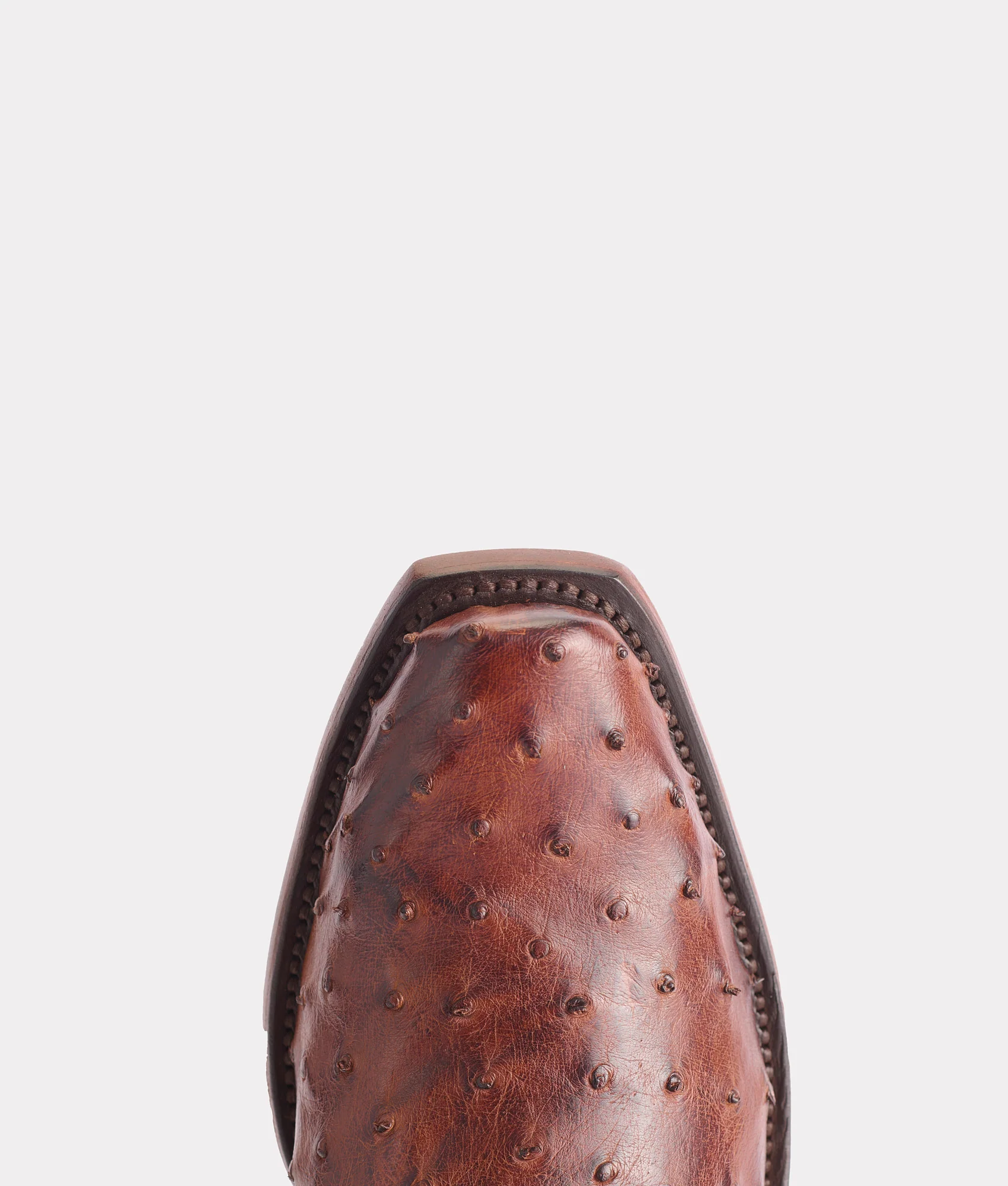 Elgin :: Chocolate
