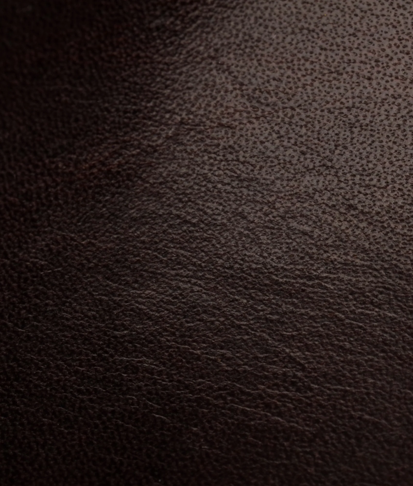 Ranger II Hiking Boot :: Chocolate