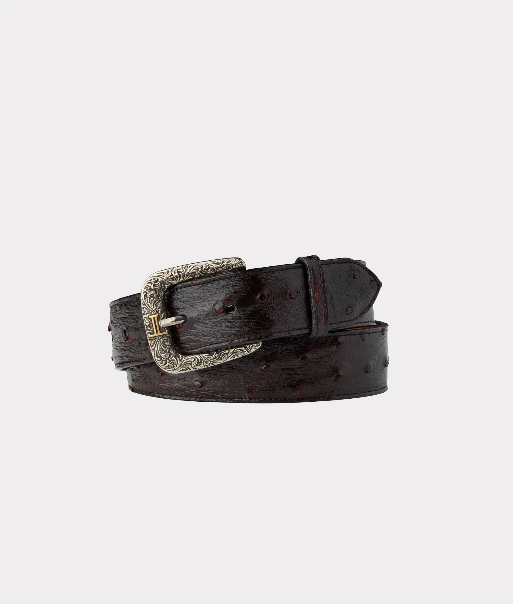 2405-full-quill-ostrich-black-cherry-1.webp Full Quill Ostrich :: Black Cherry