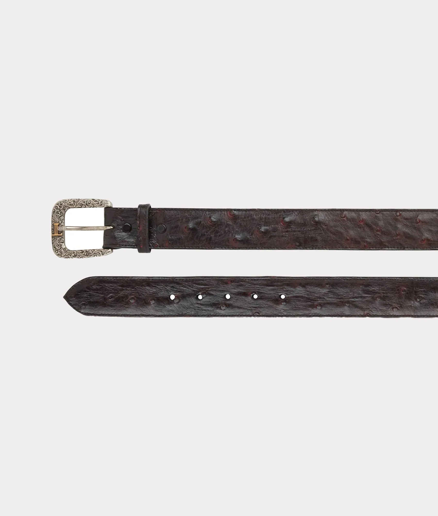 Full Quill Ostrich :: Black Cherry