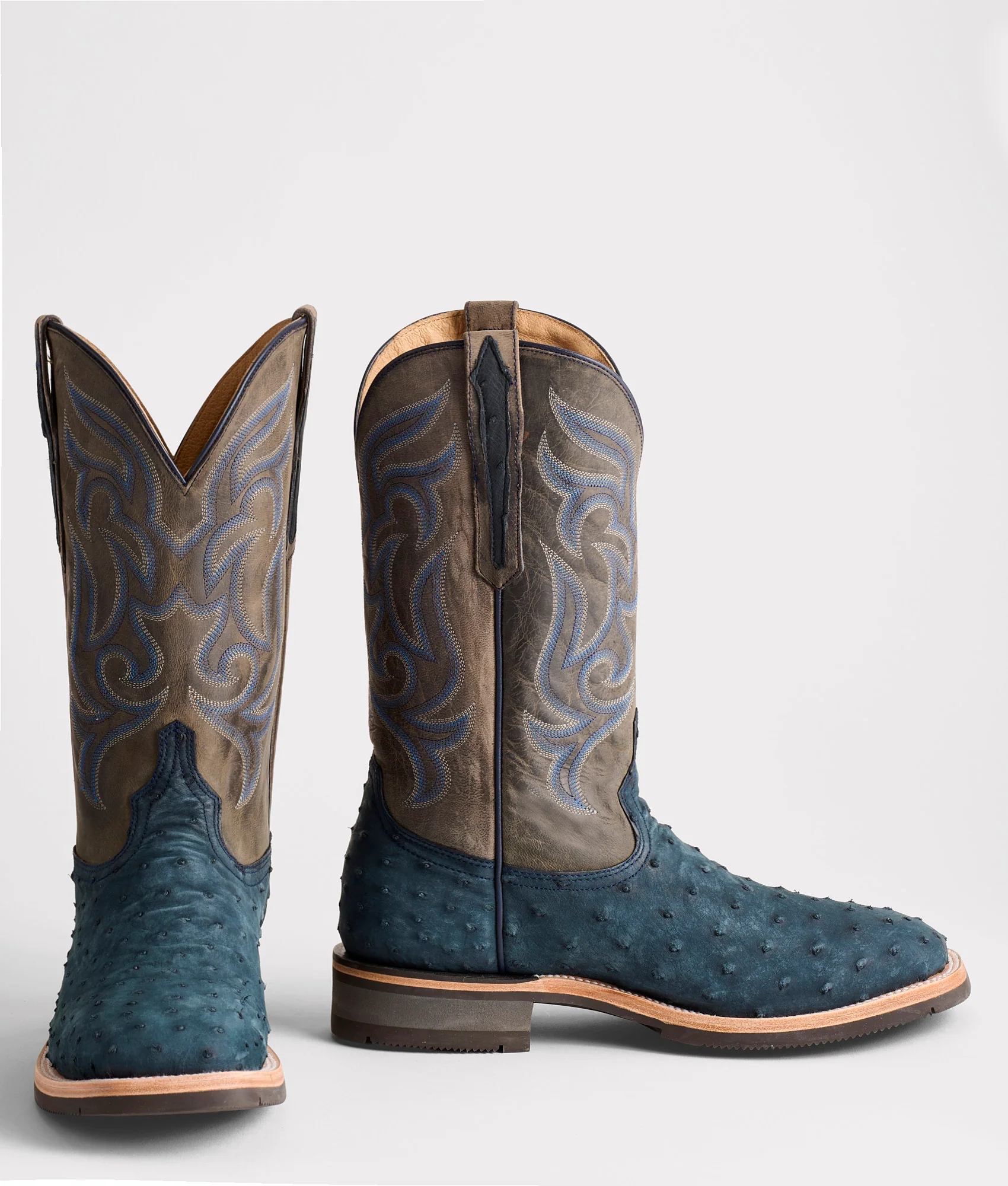 Rowdy Ostrich :: Navy