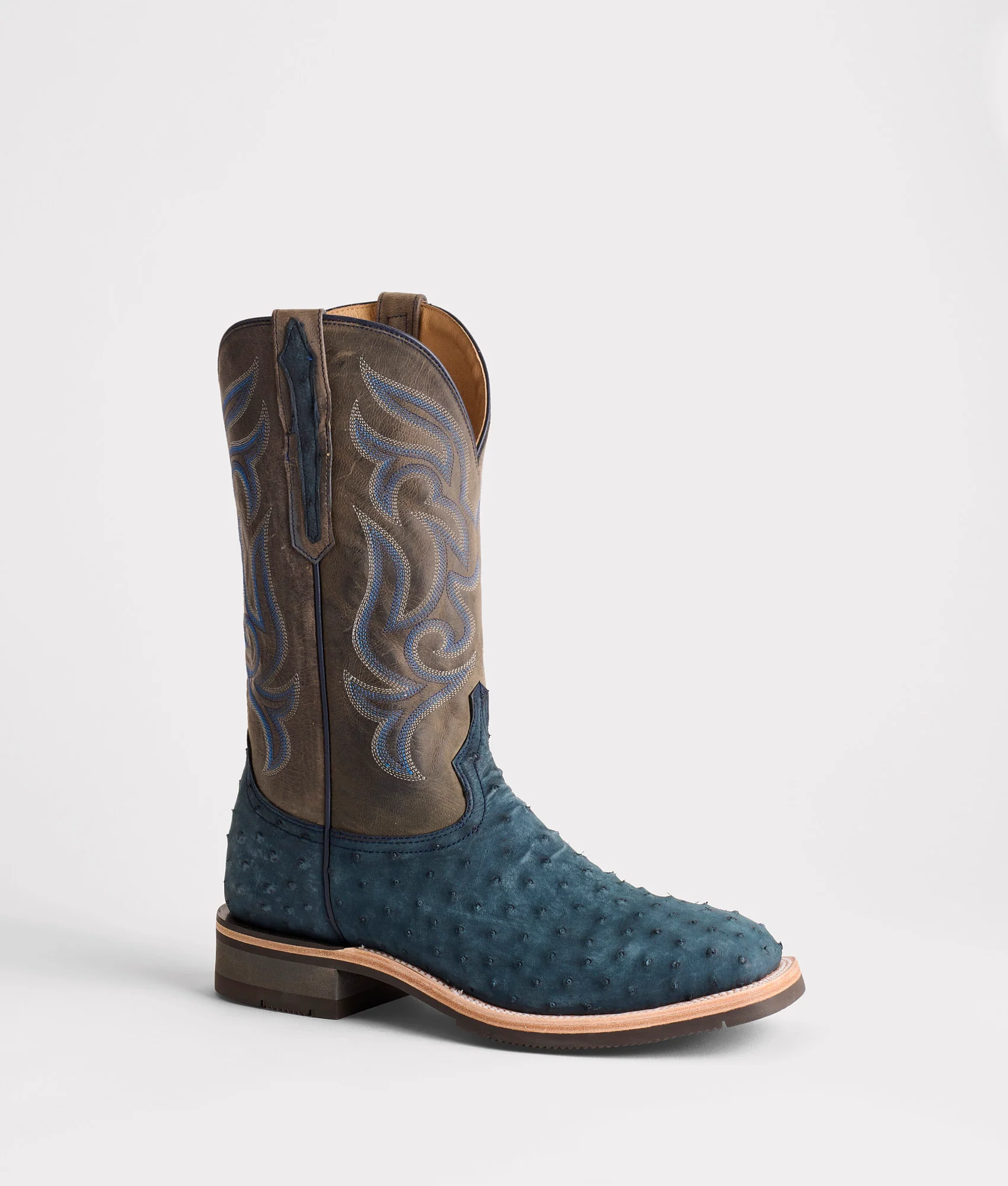 Rowdy Ostrich :: Navy