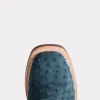 Rowdy Ostrich :: Navy