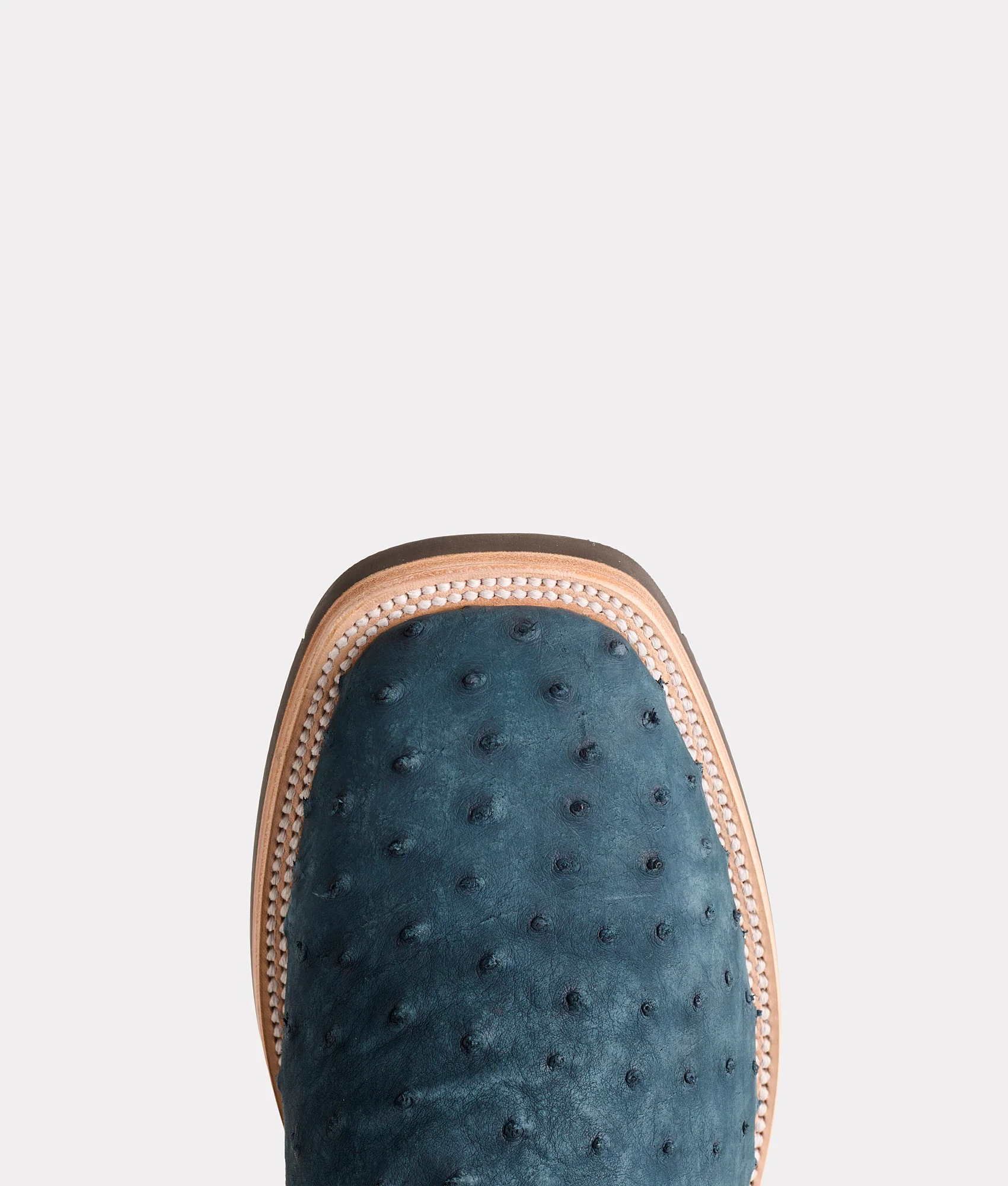 Rowdy Ostrich :: Navy