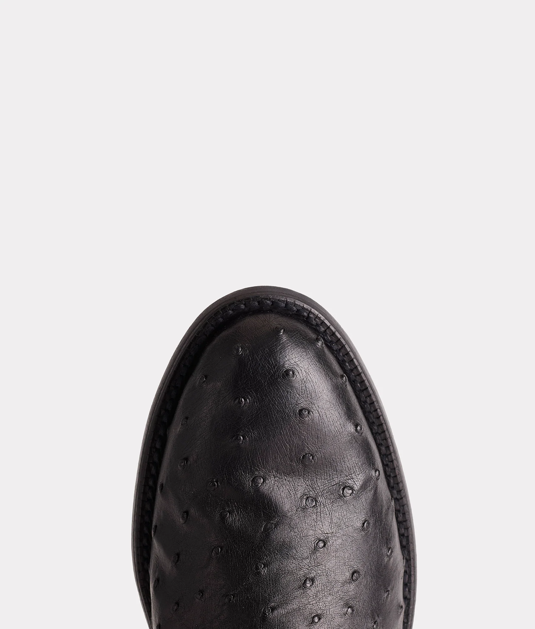 Augustus :: Black
