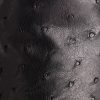 Augustus :: Black