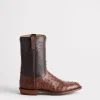 Augustus :: Sienna + Dark Brown