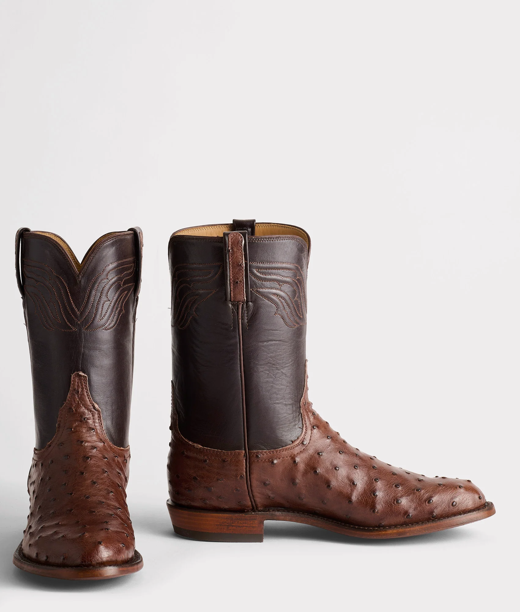 Augustus :: Sienna + Dark Brown