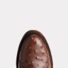 Augustus :: Sienna + Dark Brown