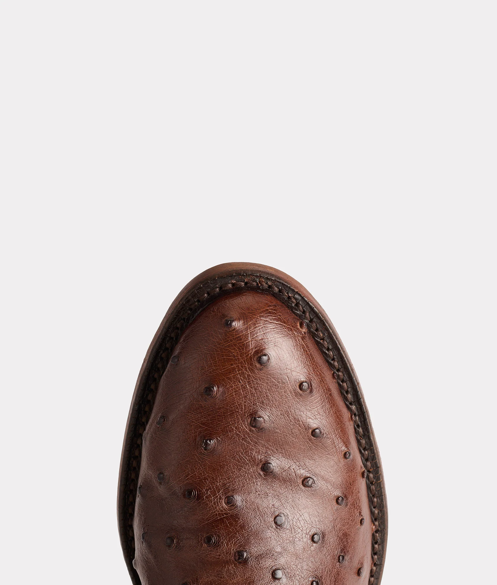 Augustus :: Sienna + Dark Brown
