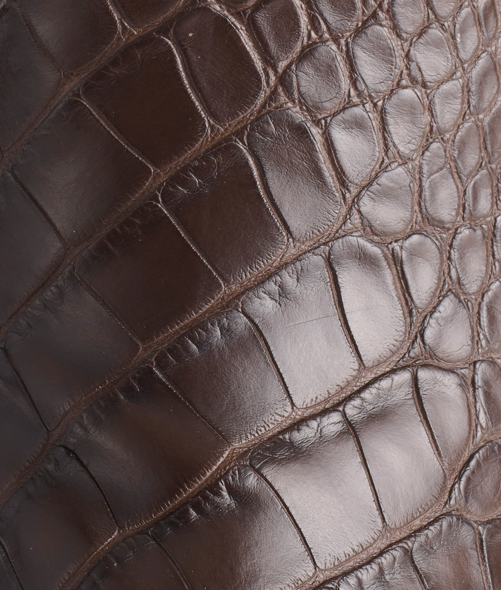 Baron :: Chocolate