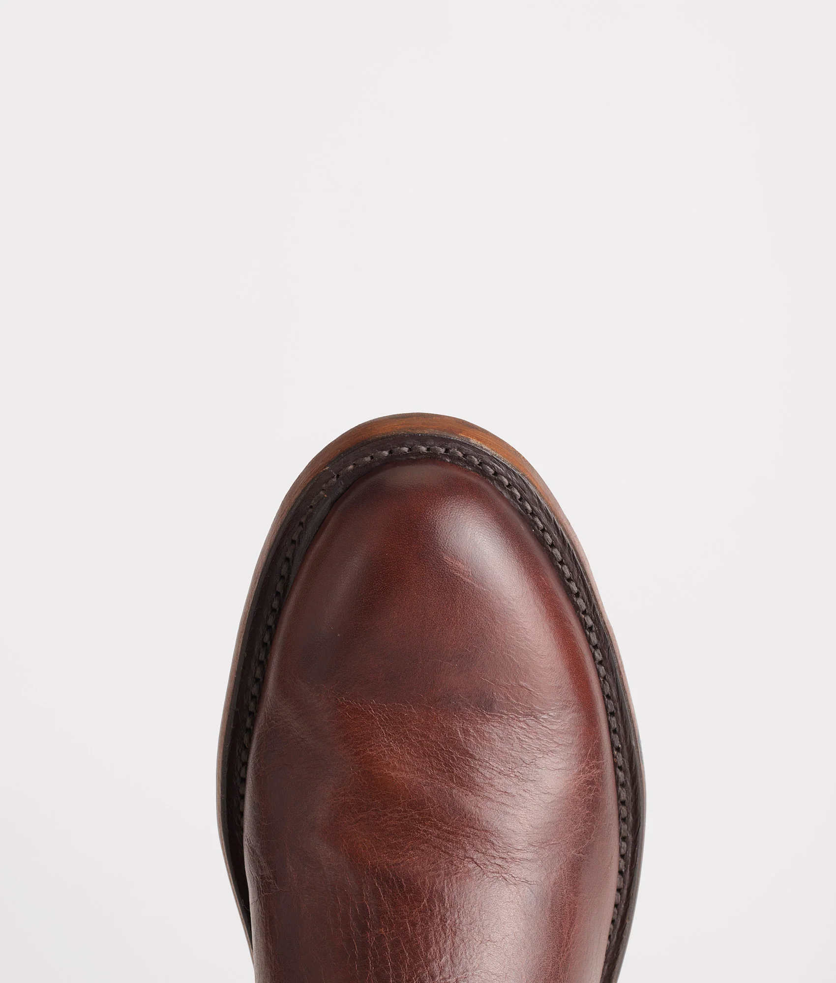 Sunset Roper :: Tan Ranch Hand