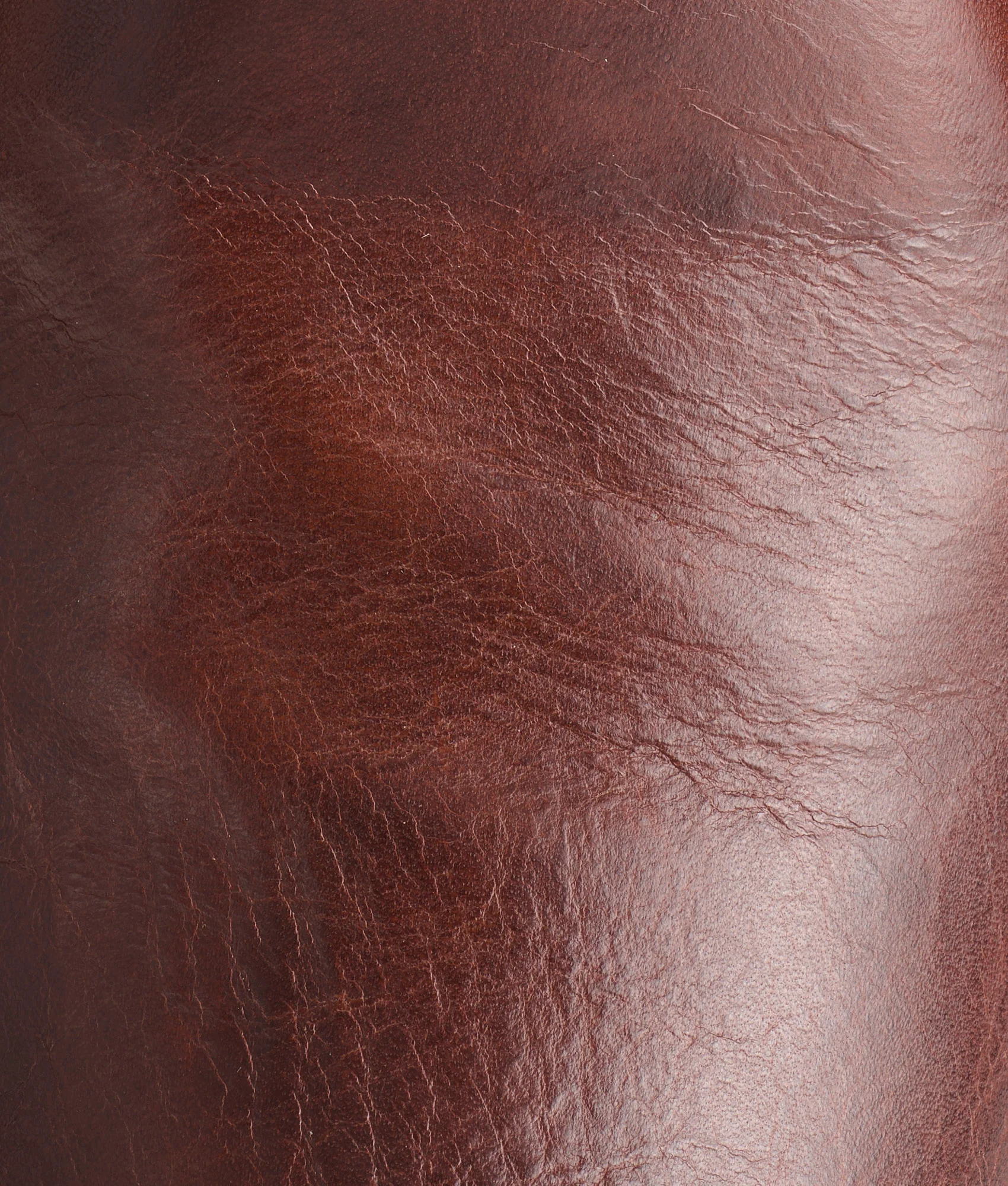 Sunset Roper :: Tan Ranch Hand