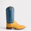 Cecil Exotic :: Saddle