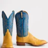 Cecil Exotic :: Saddle
