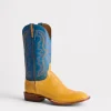 Cecil Exotic :: Saddle