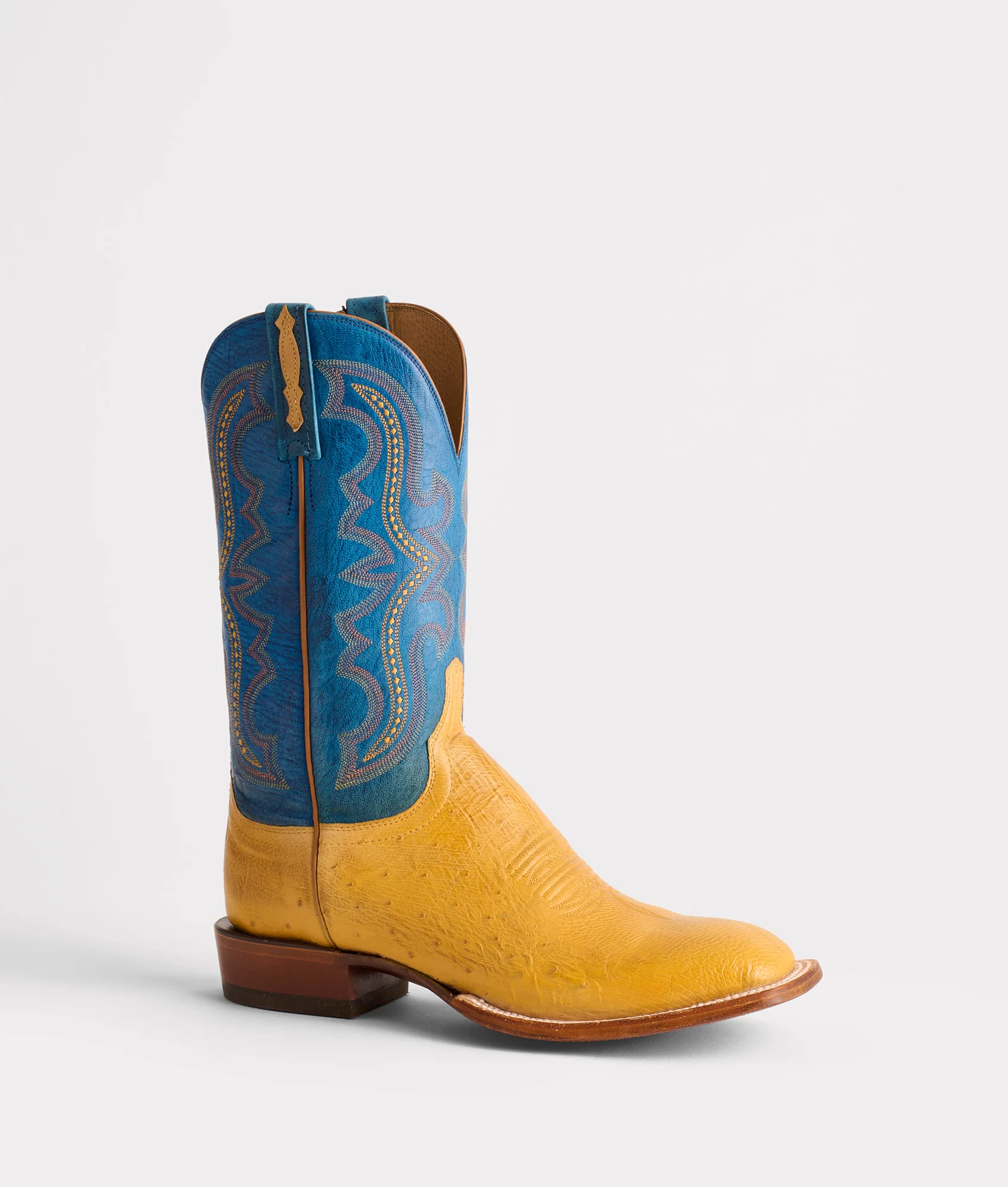 Cecil Exotic :: Saddle