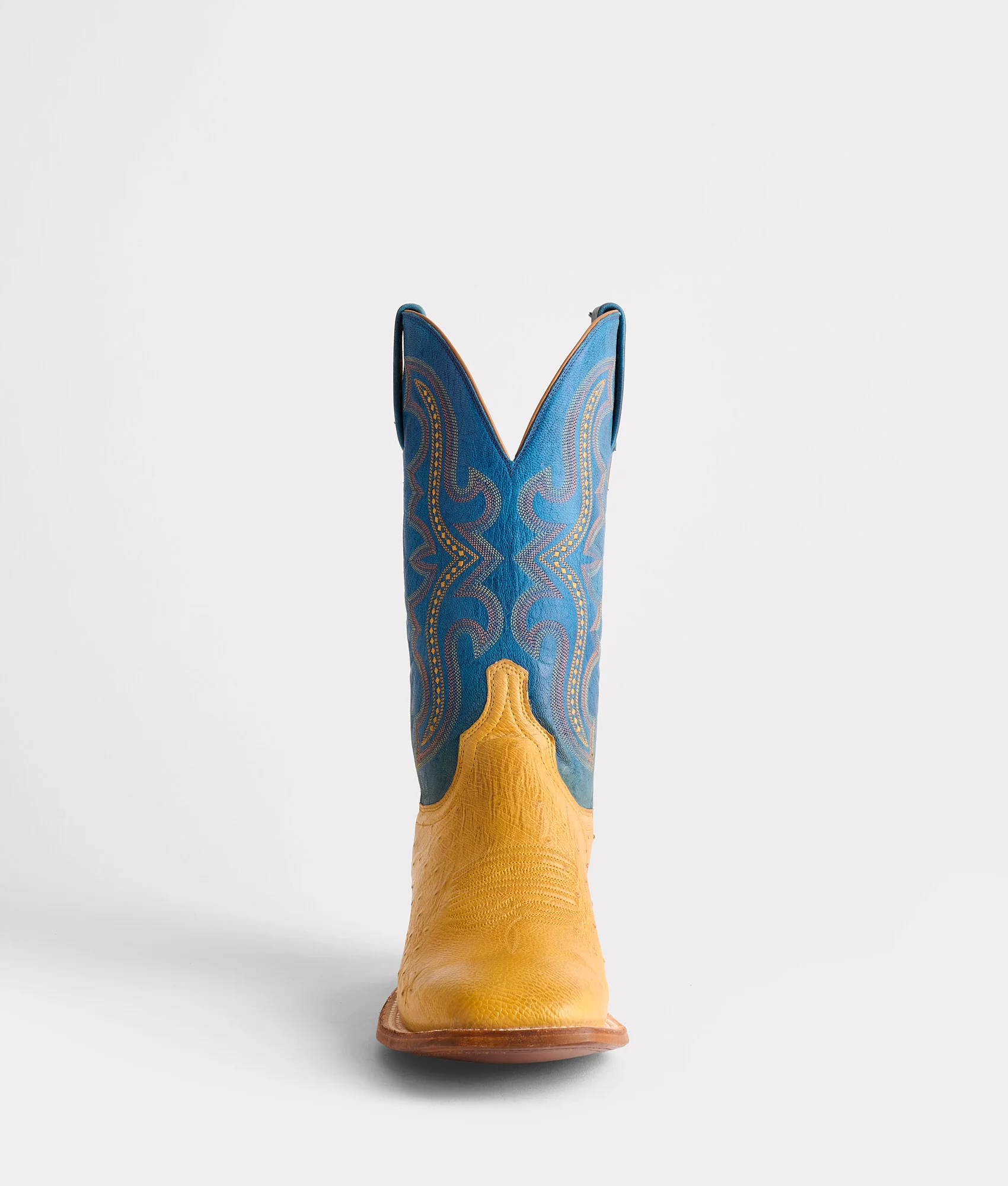 Cecil Exotic :: Saddle
