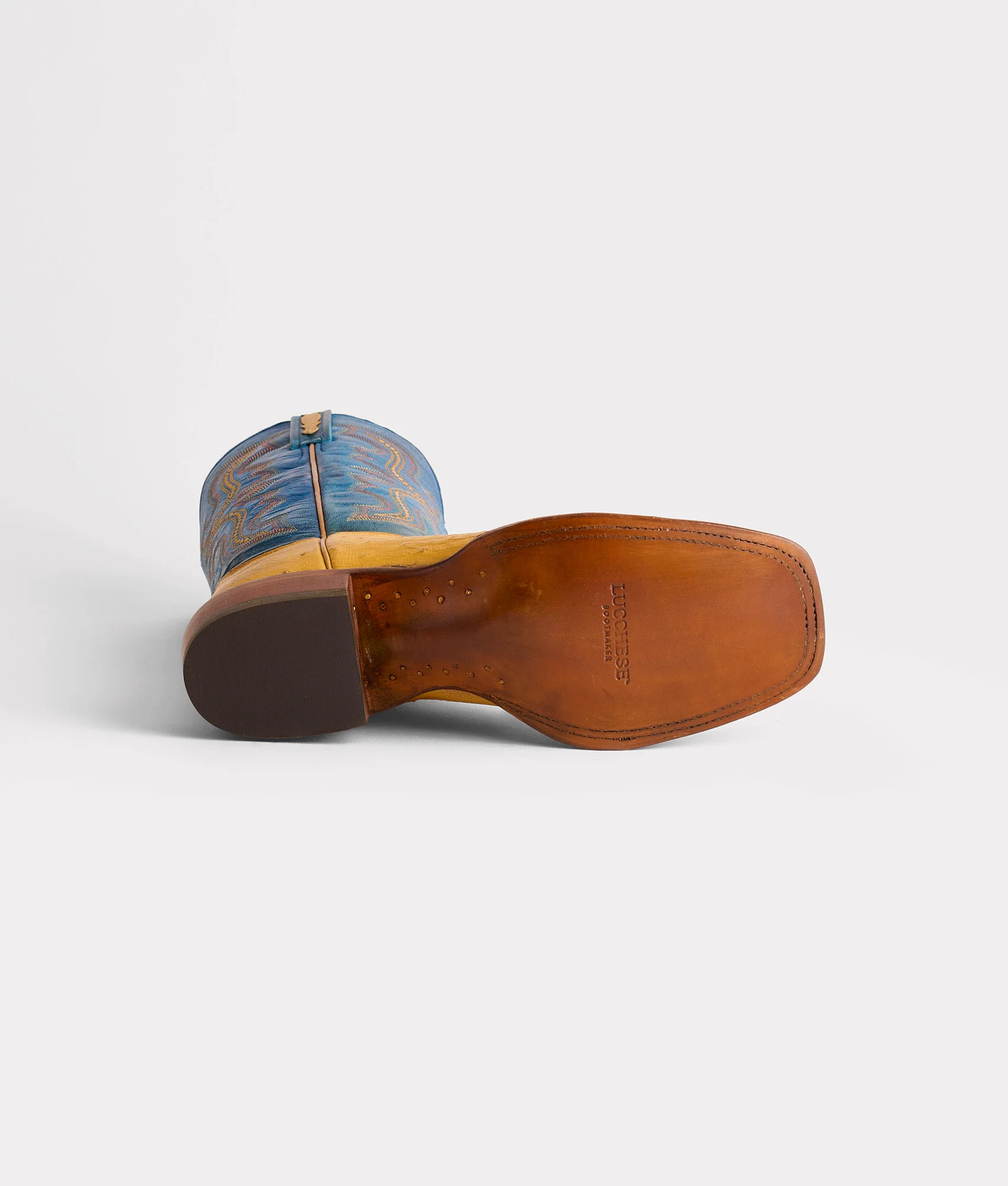 Cecil Exotic :: Saddle