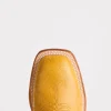 Cecil Exotic :: Saddle