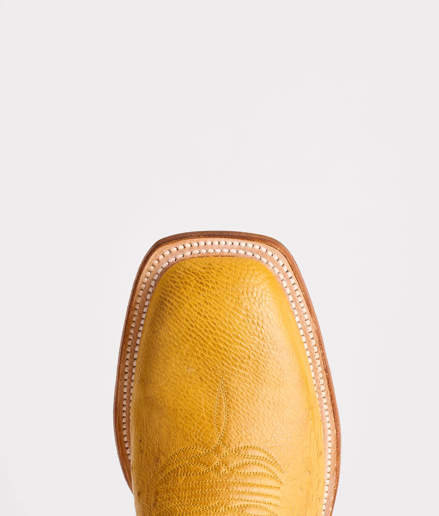 Cecil Exotic :: Saddle