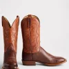 Cecil Exotic :: Sienna/Brown