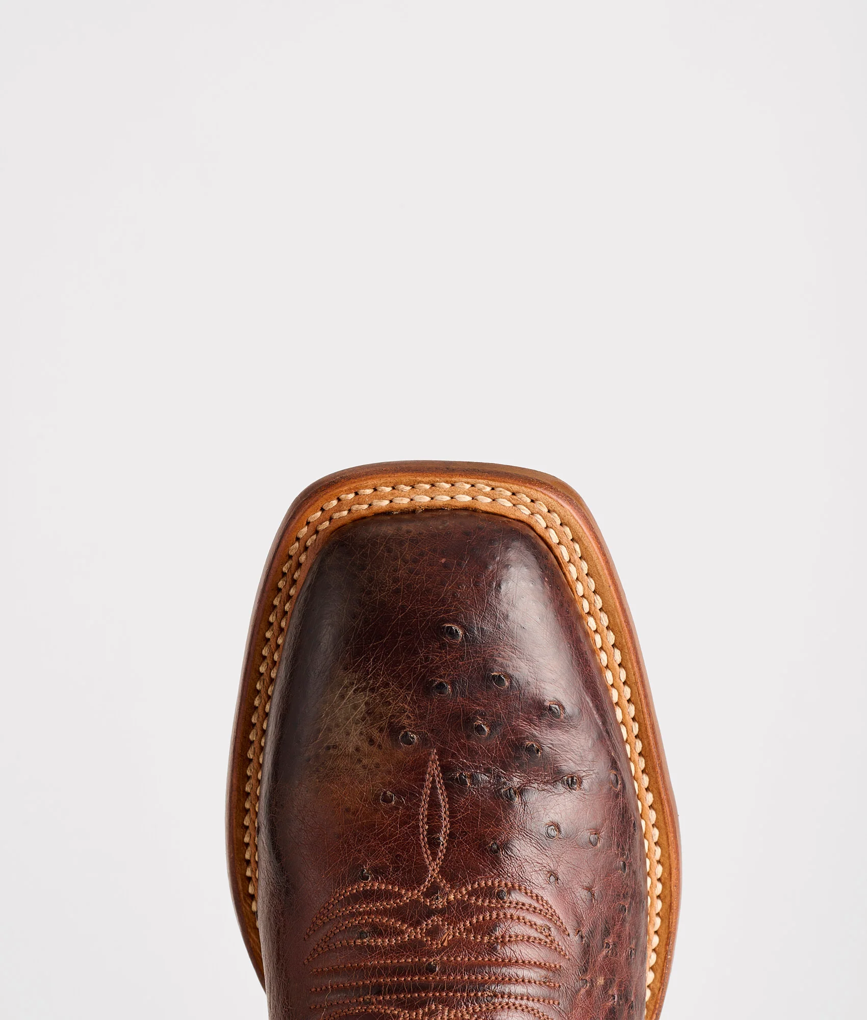Cecil Exotic :: Sienna/Brown