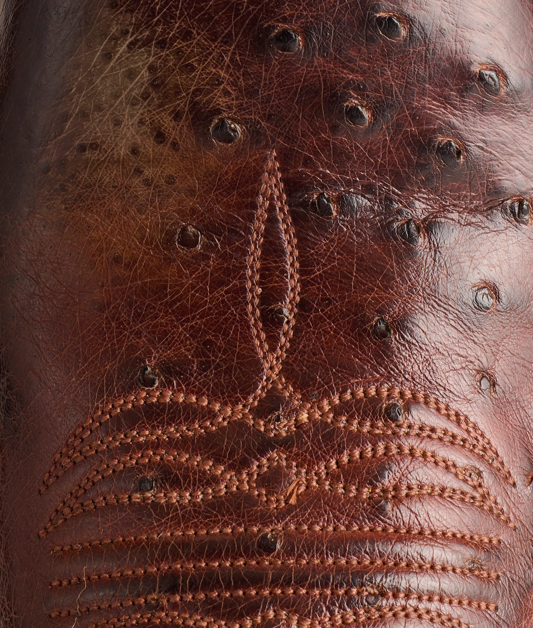Cecil Exotic :: Sienna/Brown