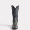 Elgin :: Anthracite