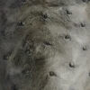 Elgin :: Anthracite