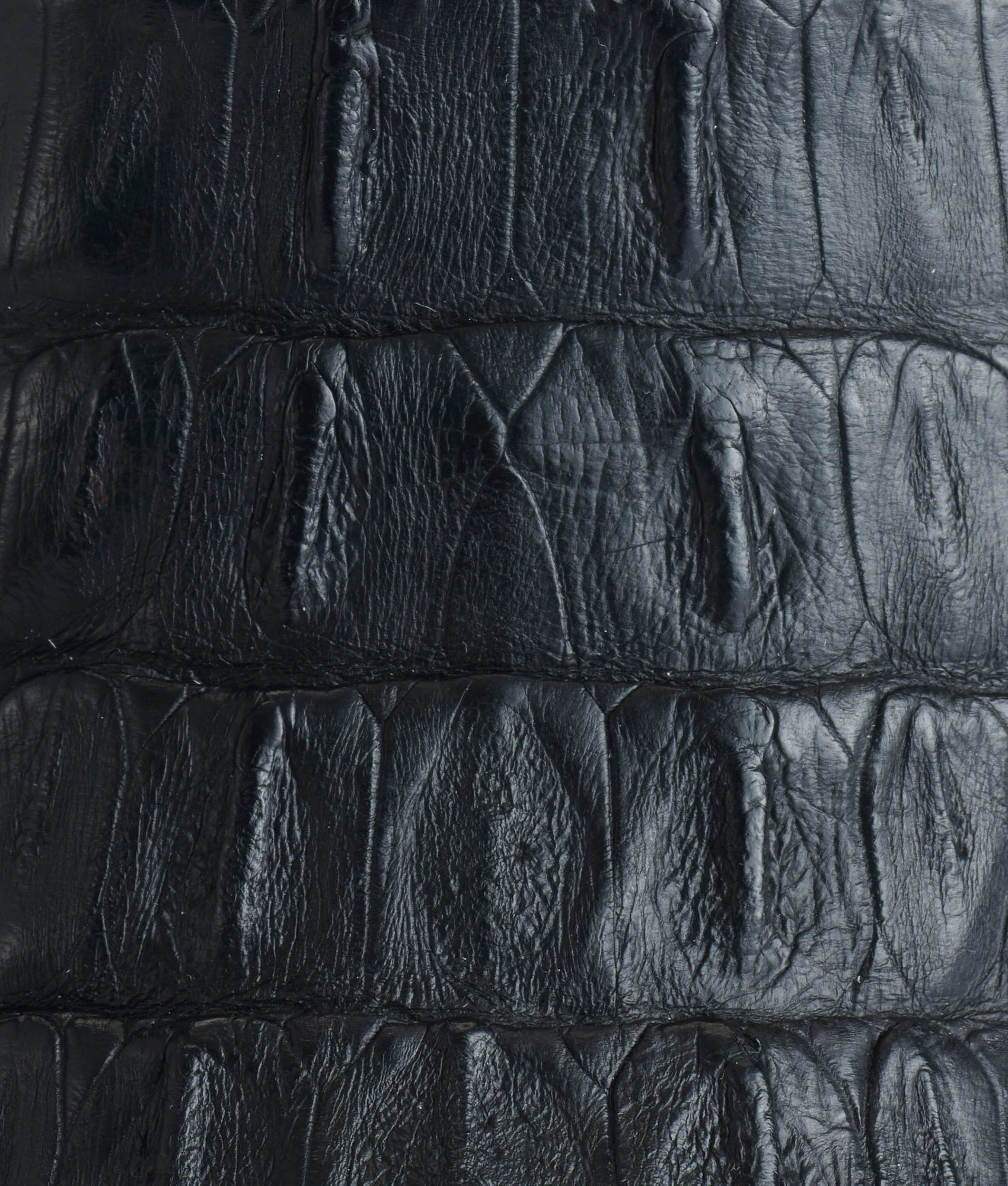 Franklin :: Black