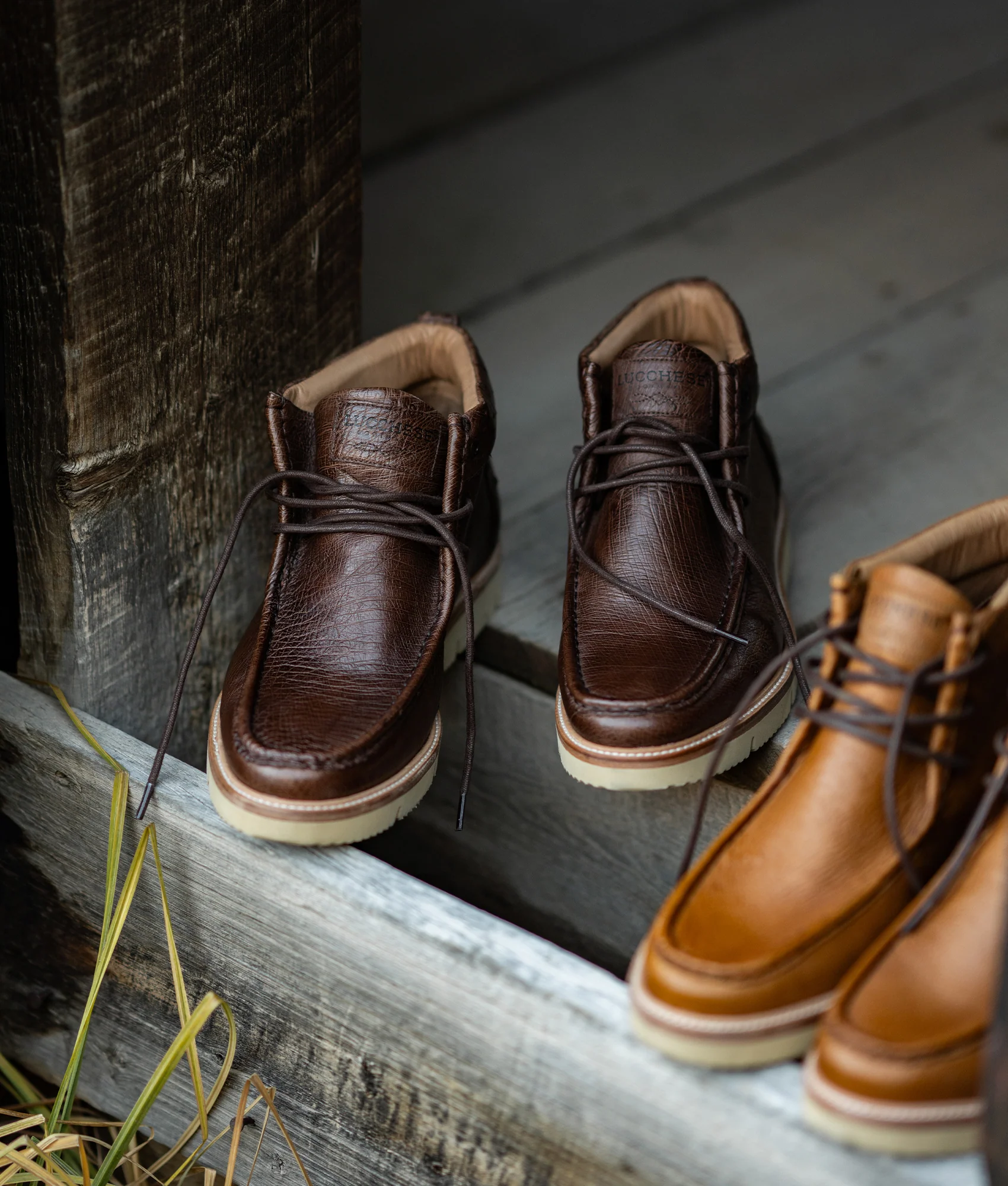 Ridgeline Exotic Chukka Boot :: Tobacco
