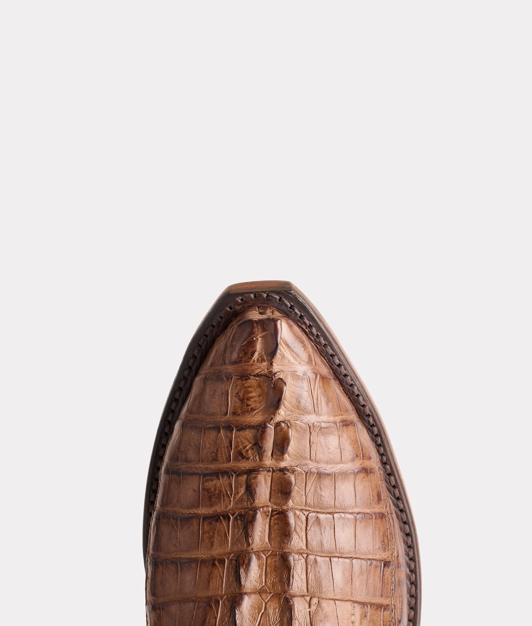 Franklin :: Tan