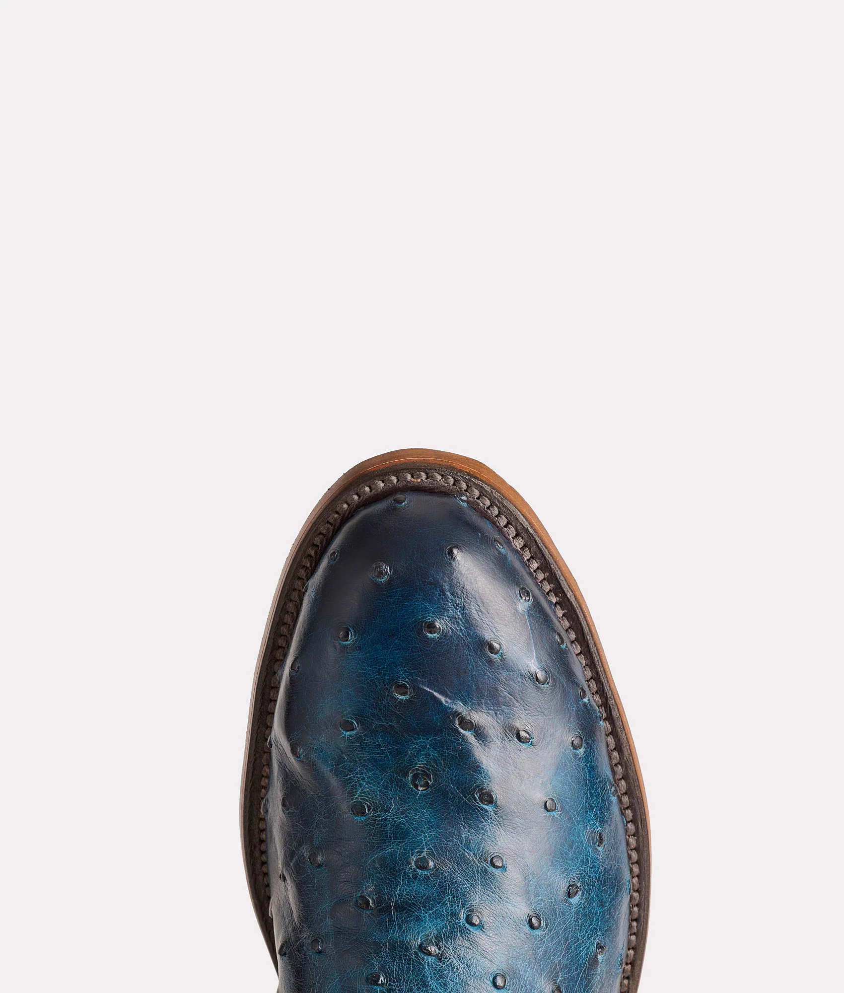 Hudson :: Navy + Chocolate