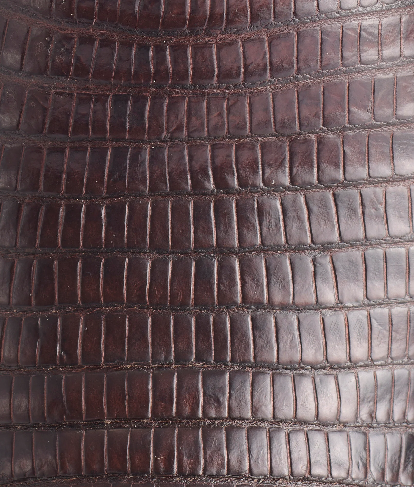 Kip :: Cigar + Dark Brown