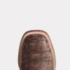 Malcolm :: Chocolate + Café Brown
