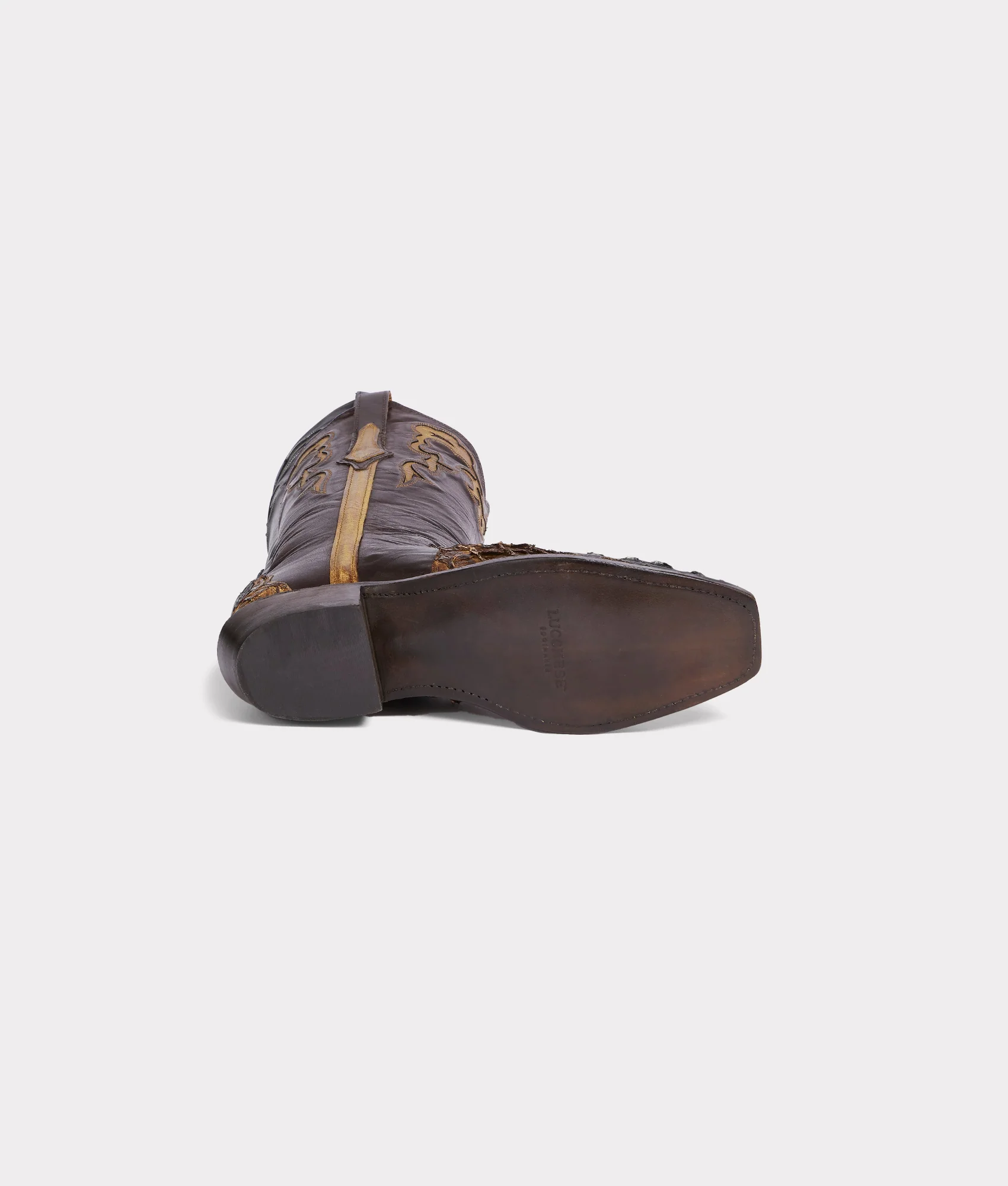 Narcisso :: Cafe Brown