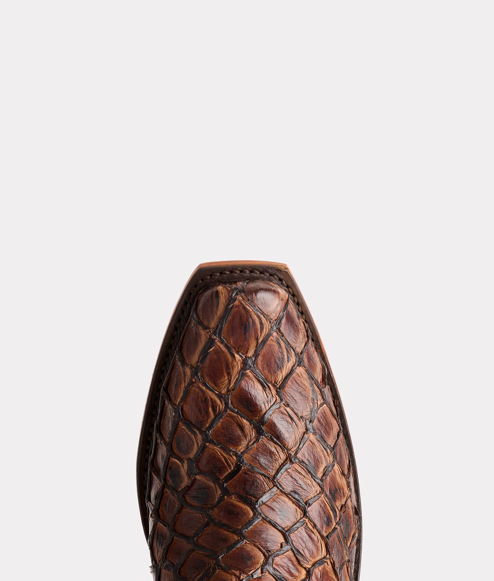 Narcisso :: Chocolate
