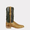 Romano :: Mustard