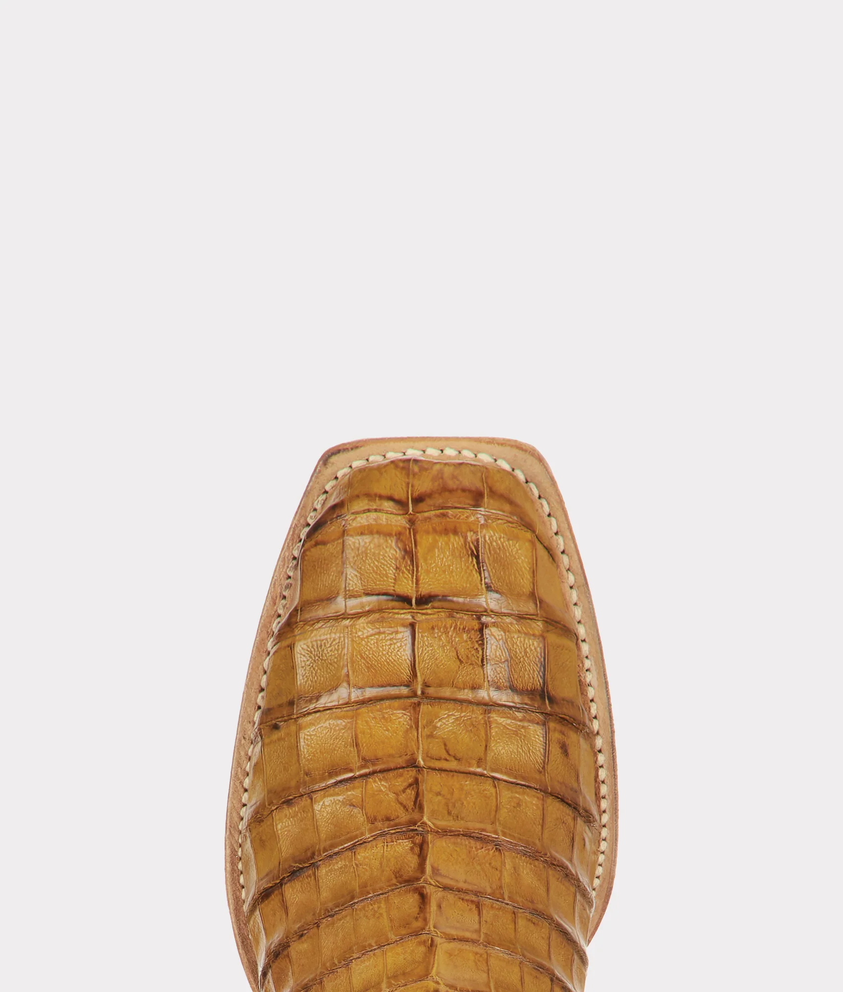 Romano :: Mustard