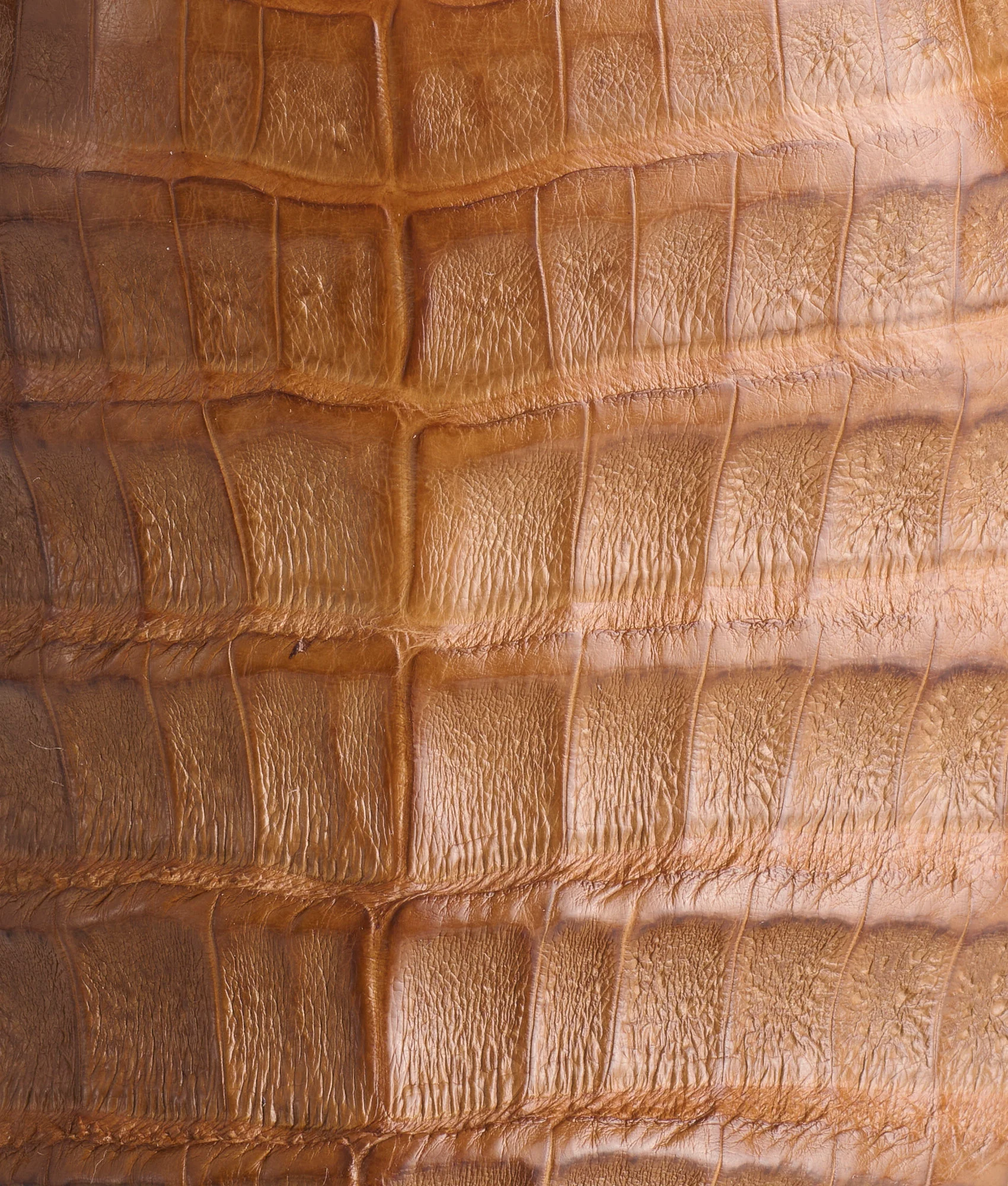 3337-rowdy-caiman-saddle-brown-8.webp Rowdy Caiman :: Saddle + Brown